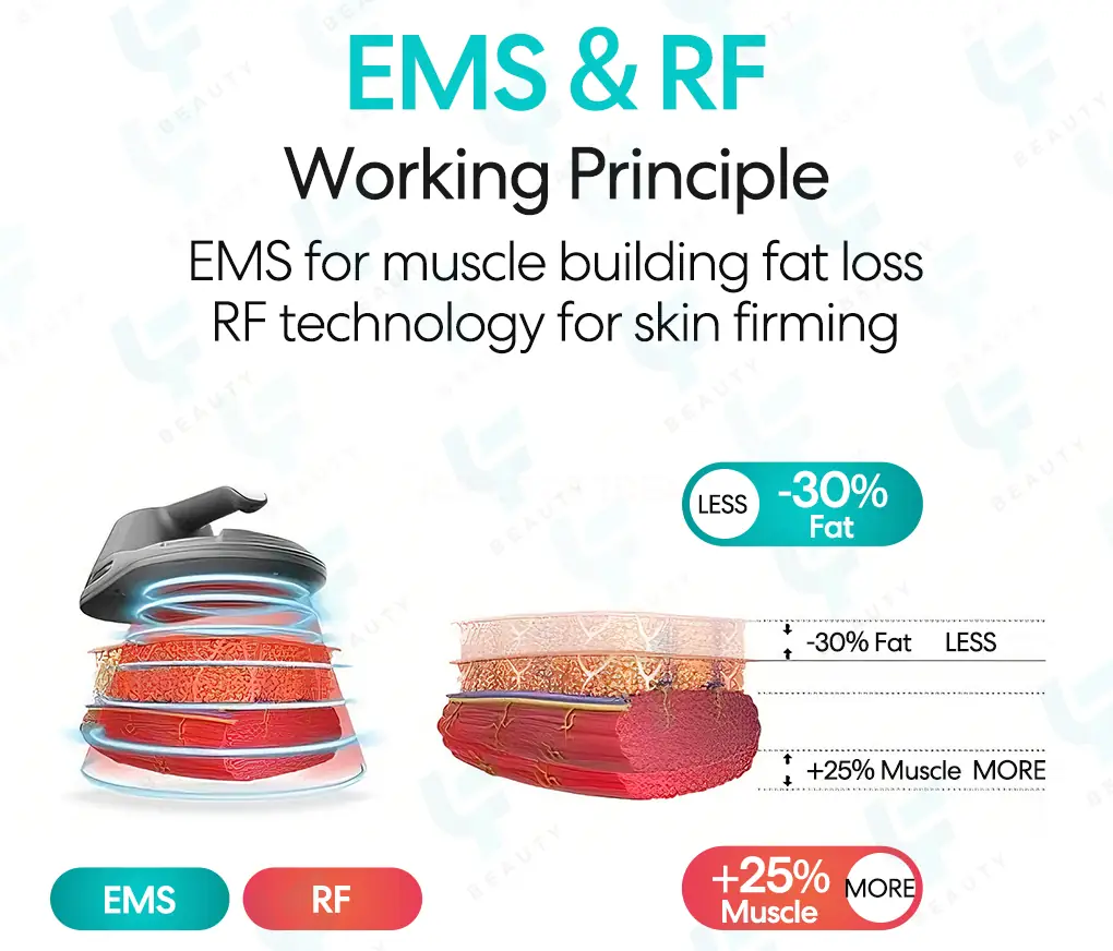 ems body shaping working principle