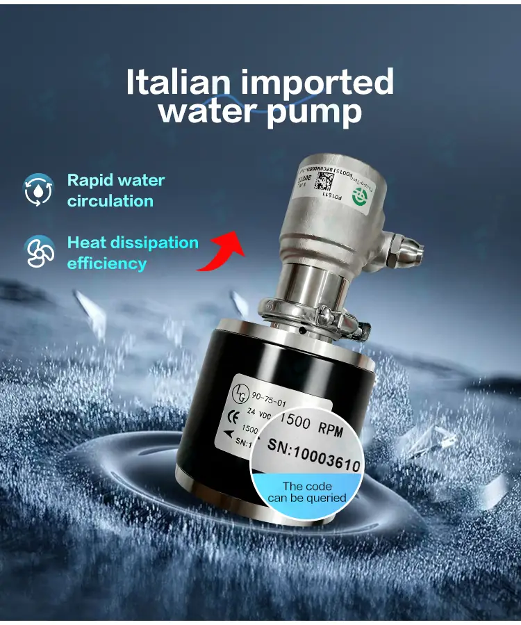 italian imported water pump