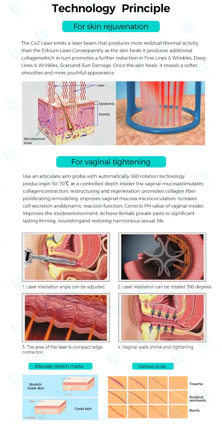 technology principle