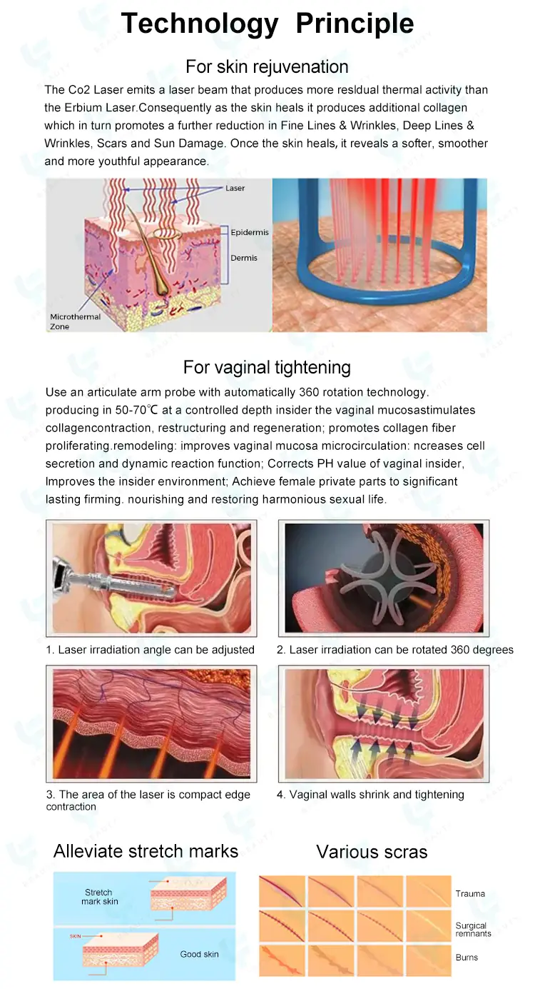 technology principle