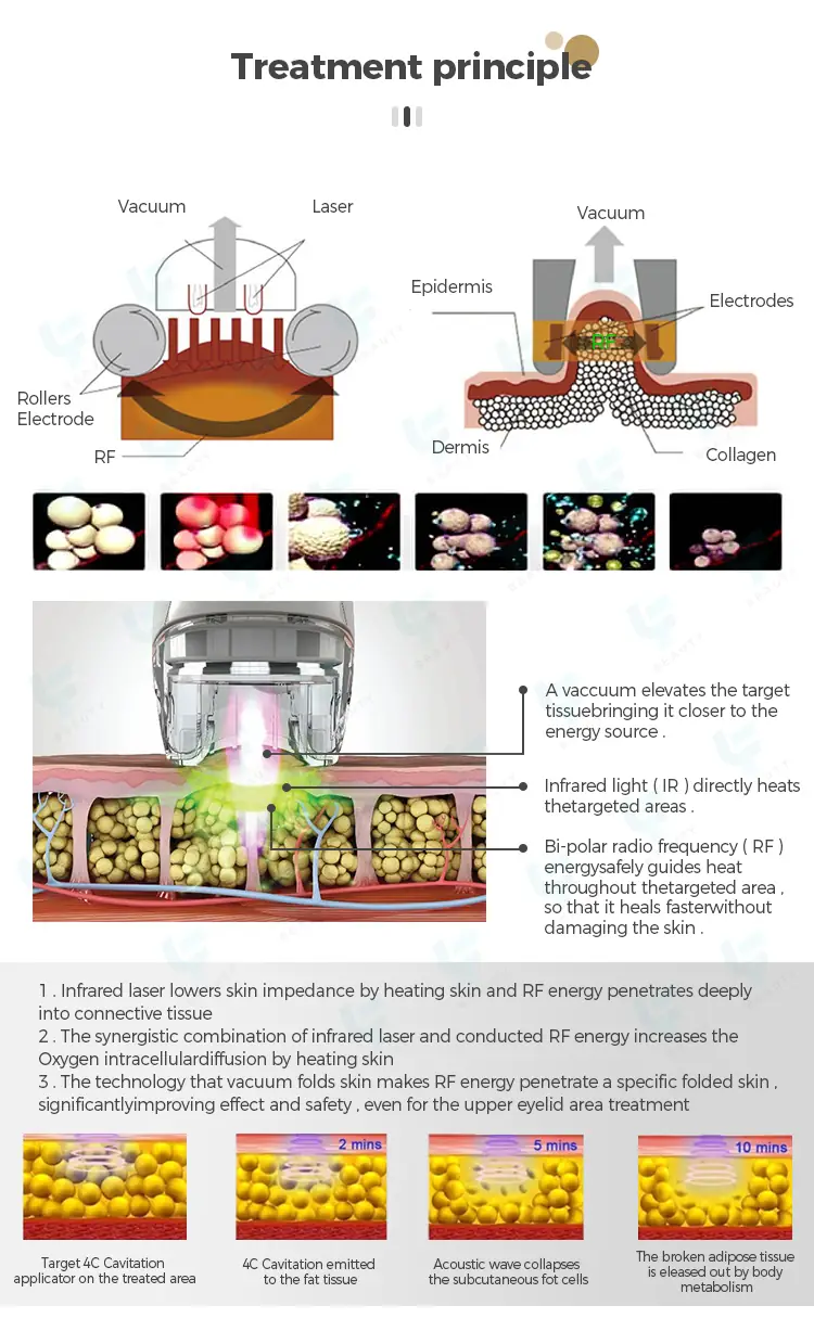 treatment principle