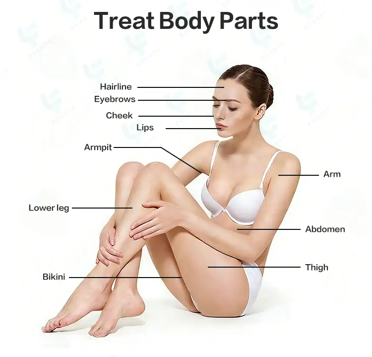 treatment area